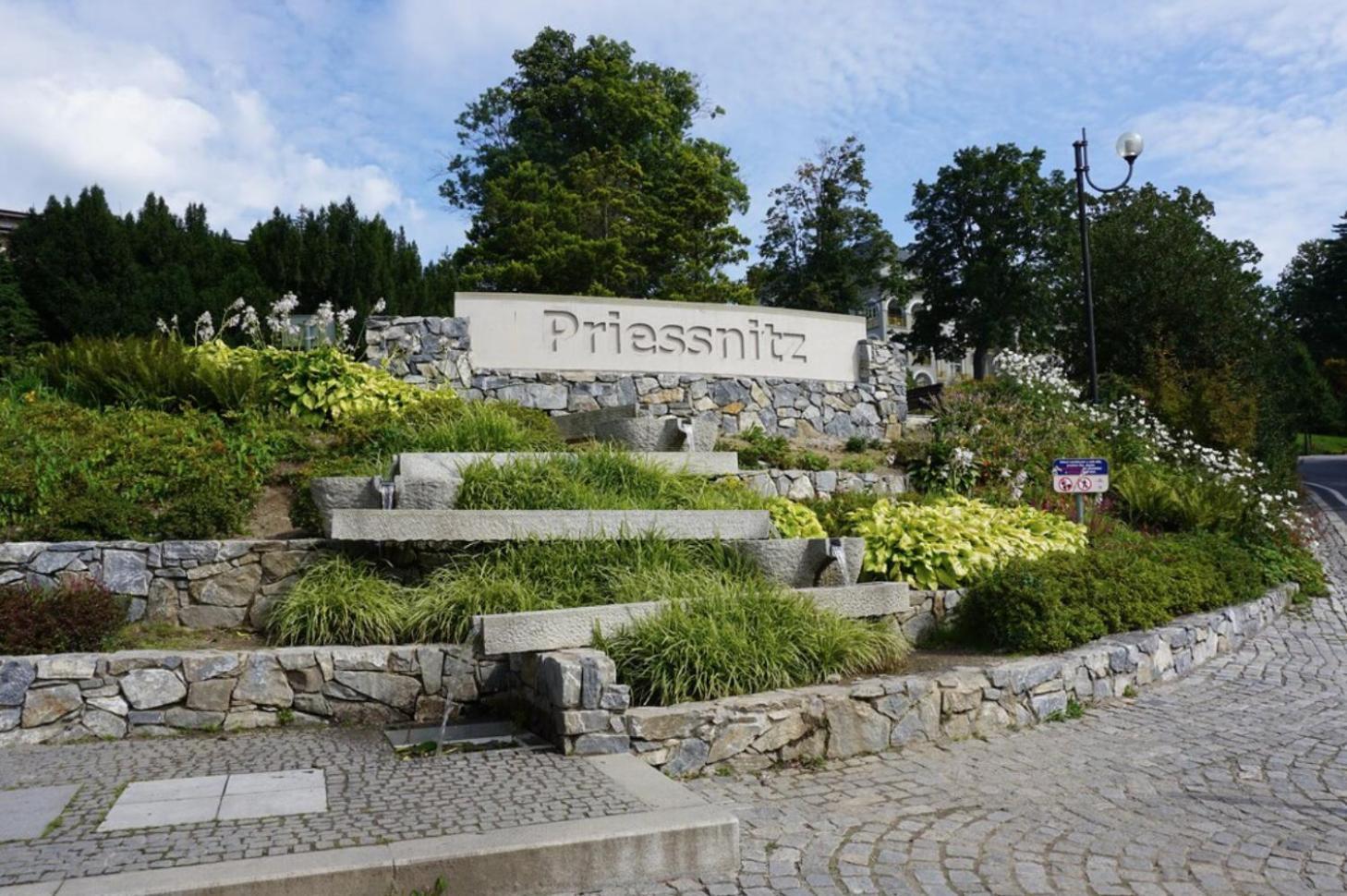 Apartmany New Forest Retreat - U Lesa, S Parkovanim, 300Mbit Internet Jesenik Exterior photo